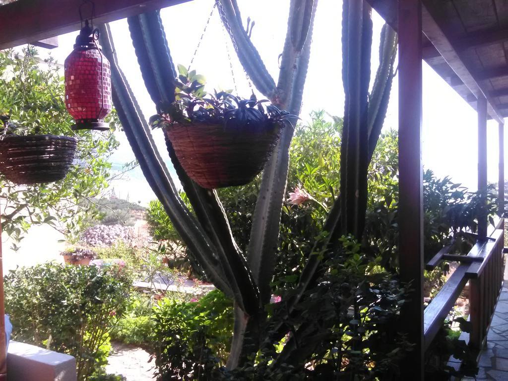 Iliopetro Apartamento Monemvasía Exterior foto